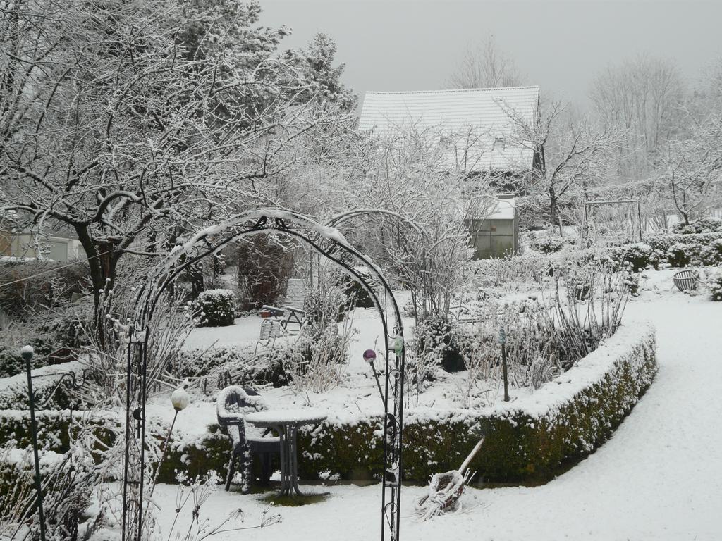 Haus Mit Aussicht Leilighet Horn-Bad Meinberg Eksteriør bilde