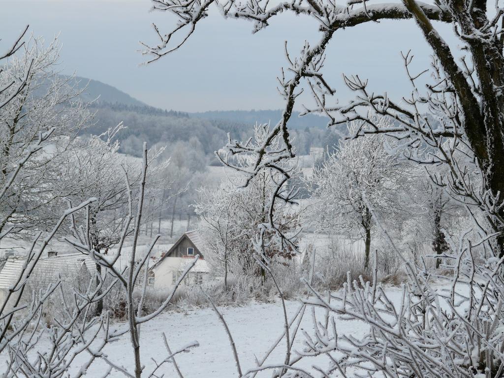 Haus Mit Aussicht Leilighet Horn-Bad Meinberg Eksteriør bilde